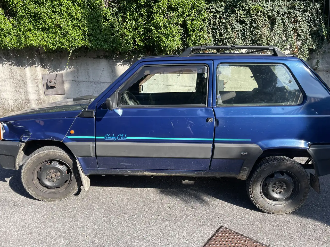Fiat Panda 1.1 Country Club 4x4, foto 2