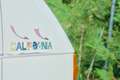 Volkswagen T4 California Westfalia Blanc - thumbnail 15