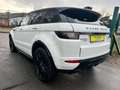 Land Rover Range Rover Evoque HSE Si4 Dynamic Weiß - thumbnail 4