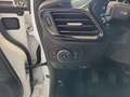 Ford Fiesta Titanium 1,0 EcoBoost Start/Stop Weiß - thumbnail 15
