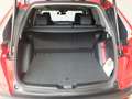 Honda CR-V 1.5T 4WD CVT Executive Rouge - thumbnail 14
