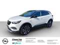Opel Grandland X Ultimate, AHK,Leder,19'',Navi,DAB,LE Weiß - thumbnail 1