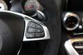 Mercedes-Benz AMG GT AMG GTC Roadster/Alcantara Paket/Klappe/Kamera Zilver - thumbnail 19