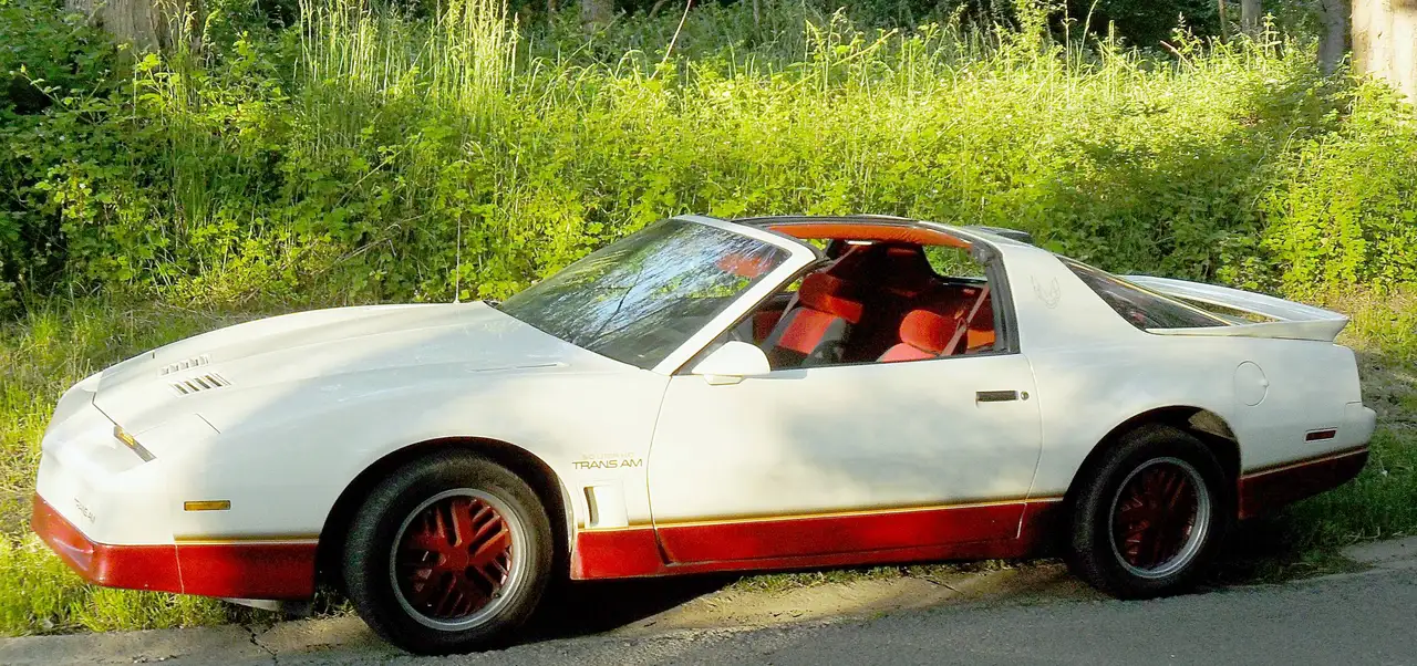 Pontiac Firebird 5.0 V8, foto 3