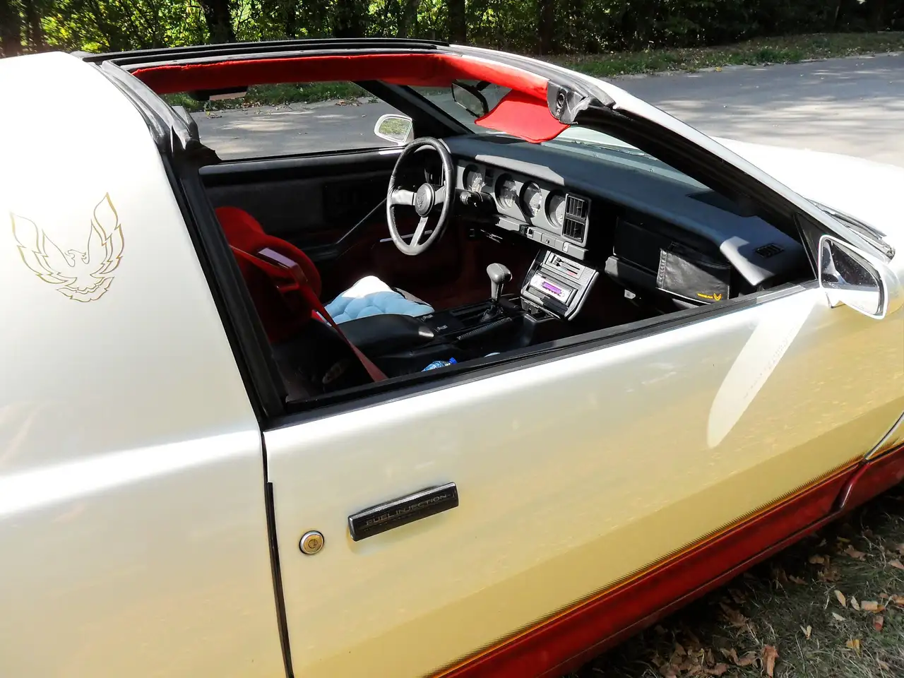 Pontiac Firebird 5.0 V8, foto 4