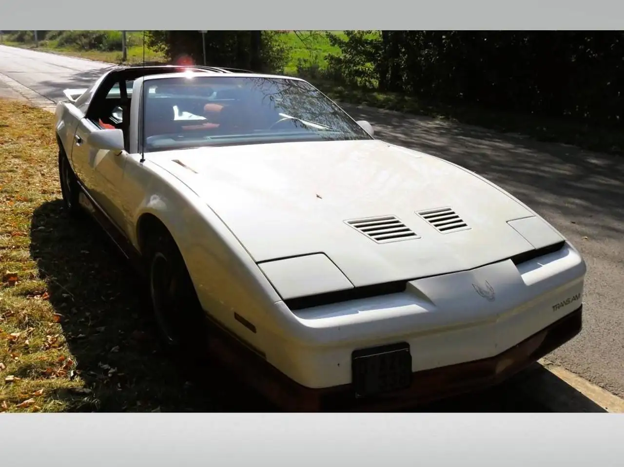 Pontiac Firebird 5.0 V8, foto 2