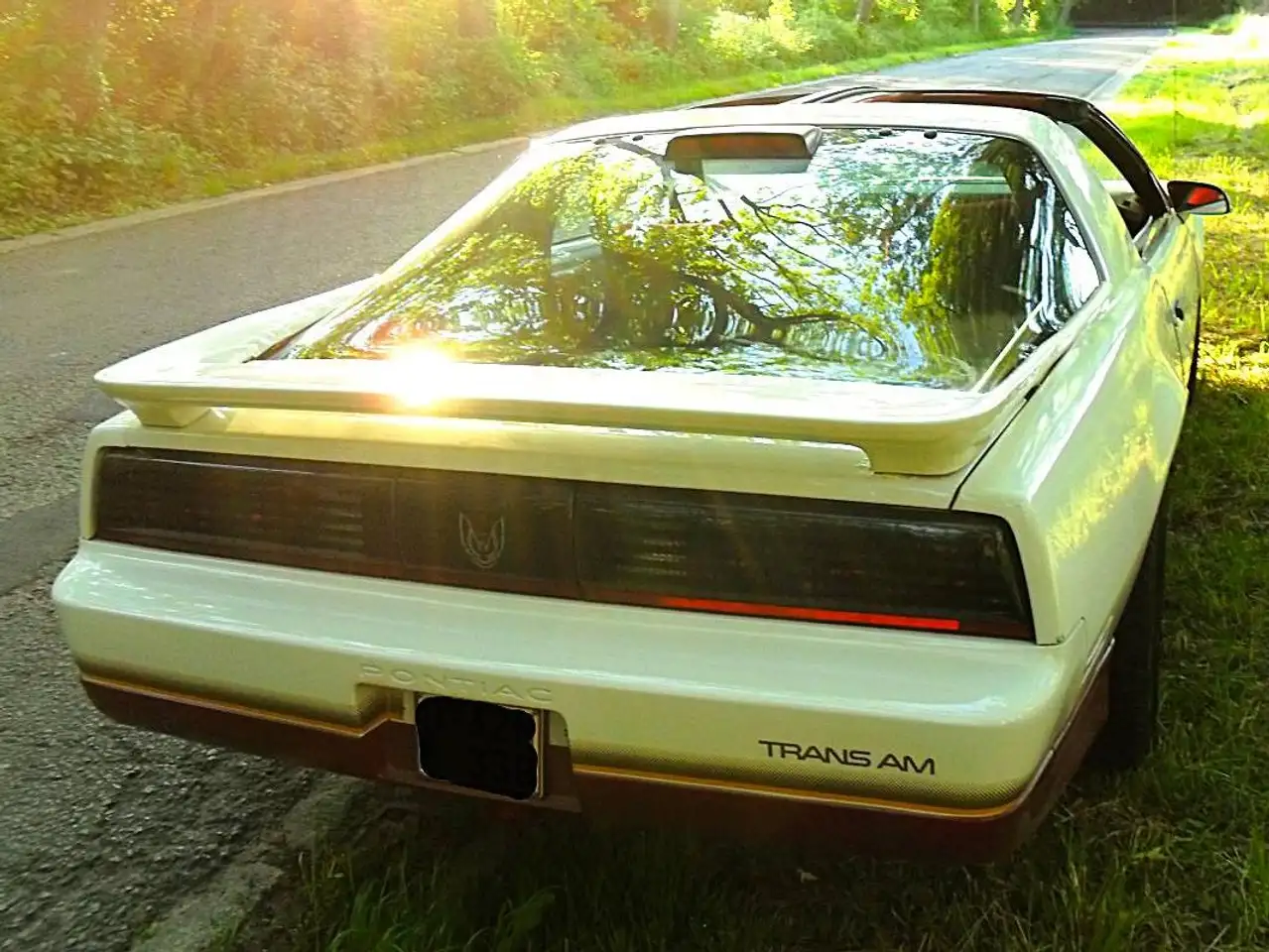 Pontiac Firebird 5.0 V8, foto 5