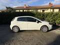 Fiat Punto 5p 1.2 8v Lounge - thumbnail 2
