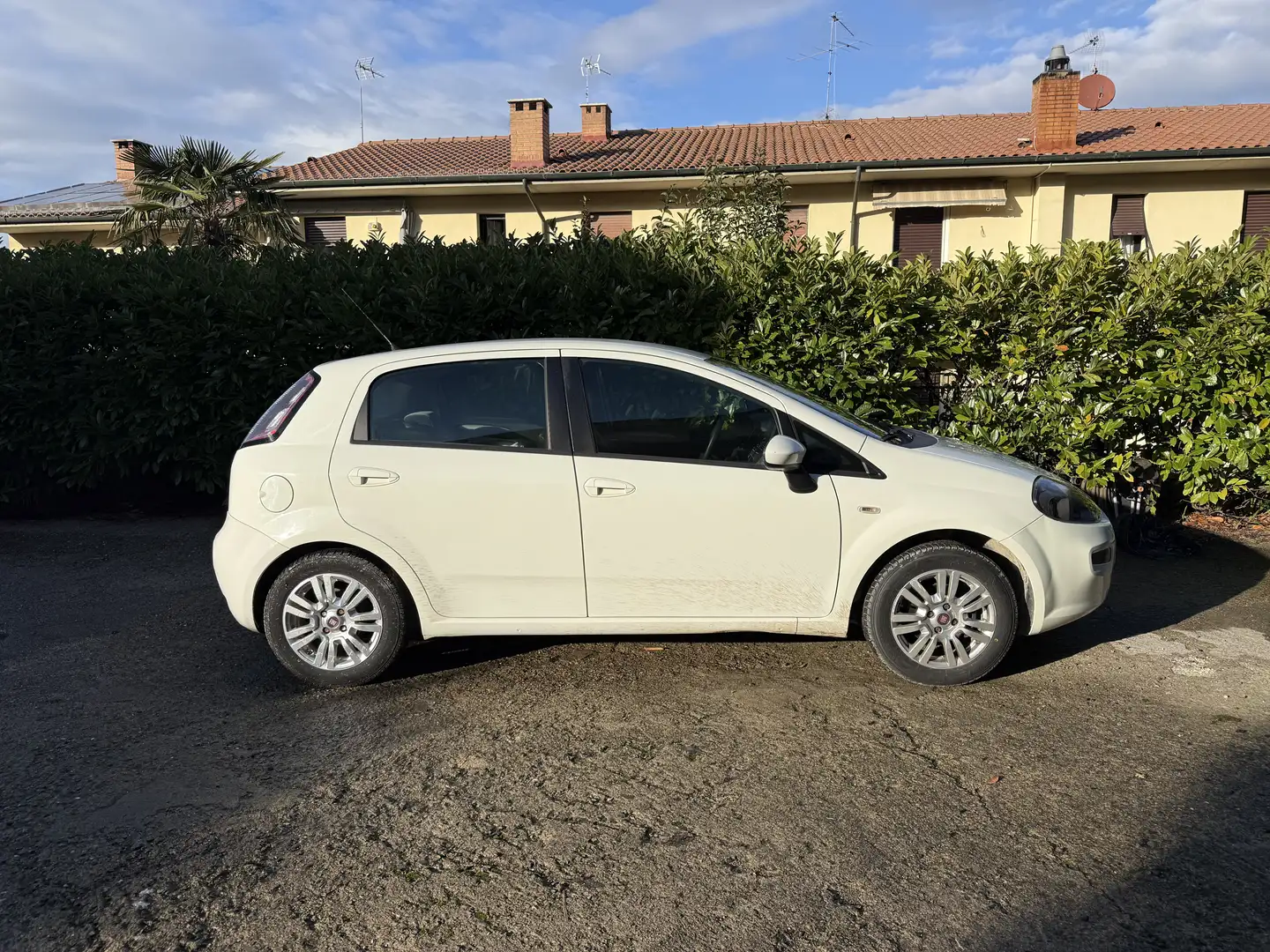 Fiat Punto 5p 1.2 8v Lounge - 2