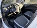 Fiat Punto 5p 1.2 8v Lounge - thumbnail 5