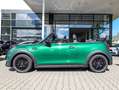 MINI Cooper Cabrio Cooper Cabrio Grün - thumbnail 4
