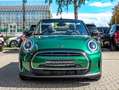 MINI Cooper Cabrio Cooper Cabrio Grün - thumbnail 6