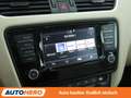 Skoda Octavia 1.4 TSI Style Aut.*TEMPO*PDC*SHZ*BLUETOOTH* Gris - thumbnail 21