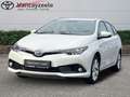 Toyota Auris TS Comfort+trekhaak+cam+16inch alu velgen Blanc - thumbnail 1