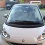 smart forTwo Fortwo II 2011 1.0 mhd Passion 71cv FL - thumbnail 3