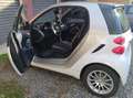 smart forTwo Fortwo II 2011 1.0 mhd Passion 71cv FL - thumbnail 2