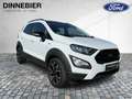 Ford EcoSport 1.0 EB ACTIVE *LED/NAVI/Kamera* Weiß - thumbnail 9