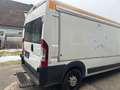 Citroen Jumper Jumper Luxus-Bus 2850/2,8t 2,8 HDi Weiß - thumbnail 7