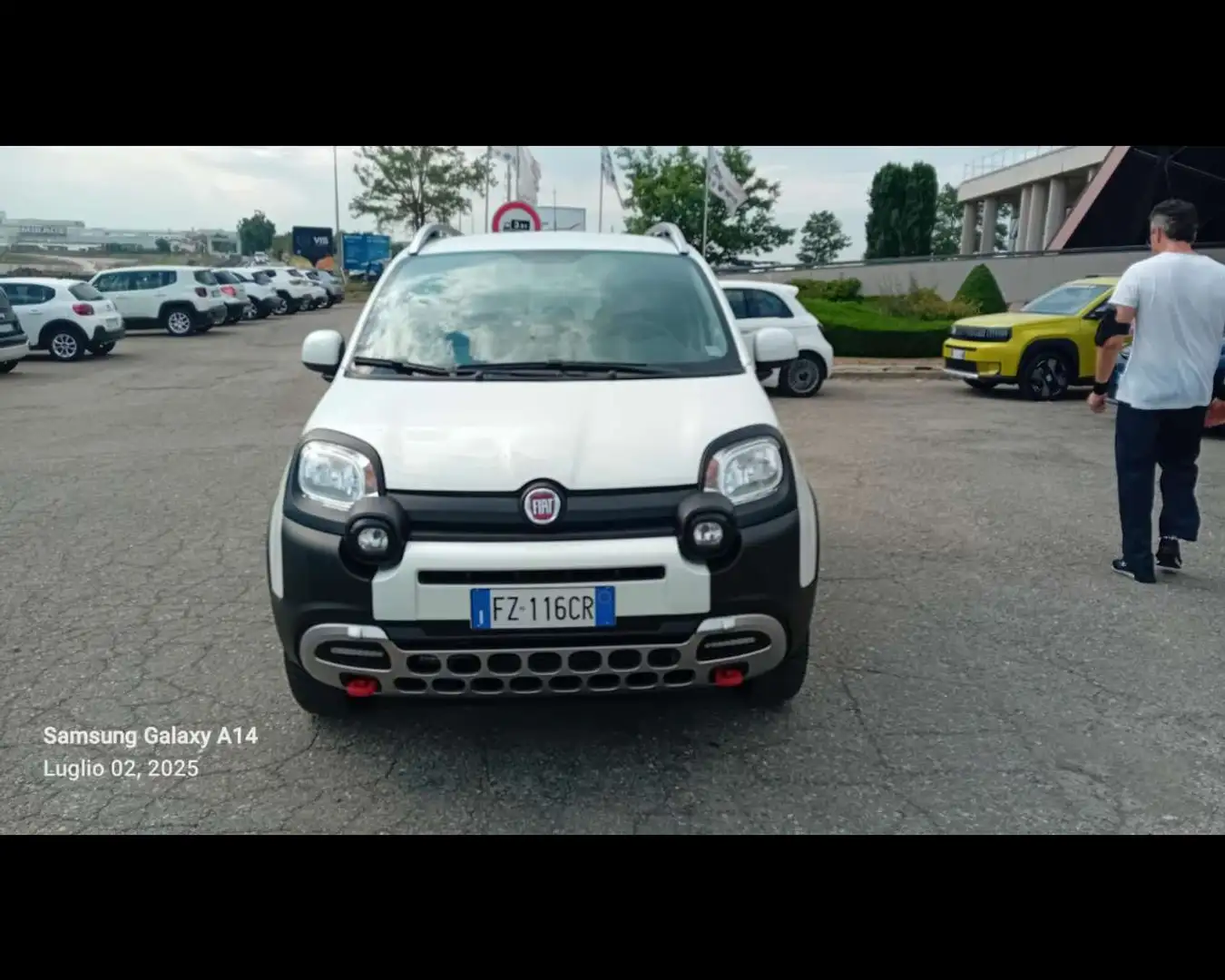 Fiat Panda Cross - Panda Cross 0.9 TwinAir Turbo S&S 4x4 Bianco - 2