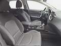 Kia Ceed / cee'd CEED 1.5 T-GDI DCT7 ULTIMATE EDITION MJ25 STYLE SO Grijs - thumbnail 17