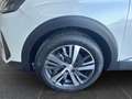 Peugeot 3008 Peugeot 3008 1.5 130 Cv. BlueHDI EAT8 Allure Pack Weiß - thumbnail 19