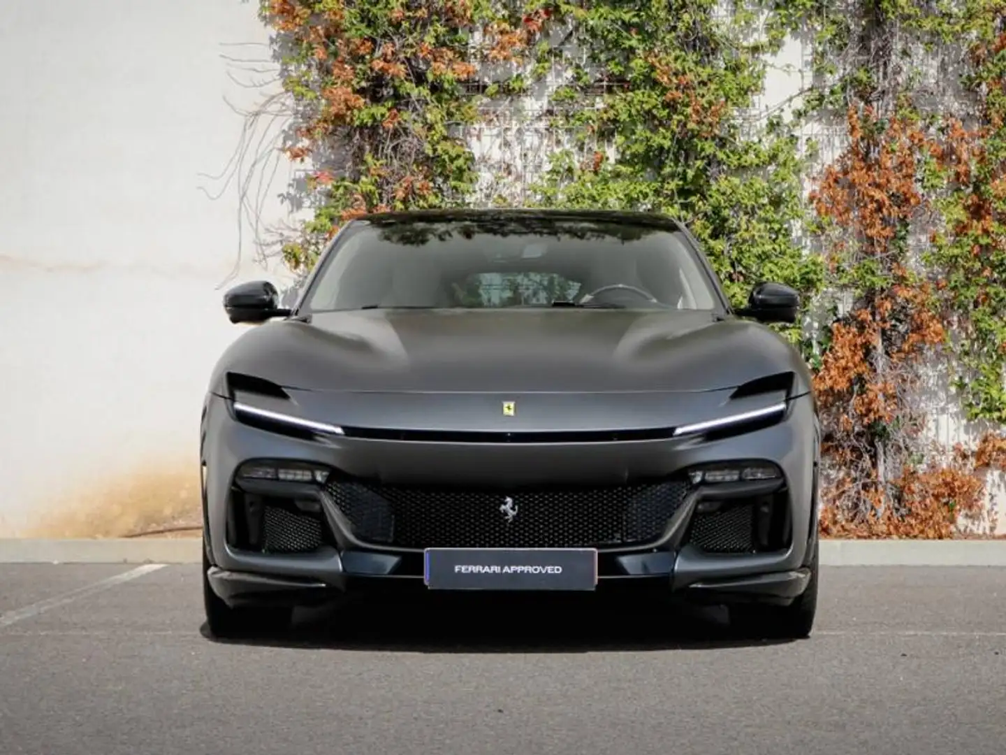 Ferrari Purosangue suv Gris - 2