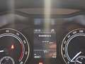 Skoda Kamiq 1.0 g-tec ambition 90cv Grigio - thumbnail 13