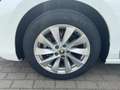 Skoda Superb Combi 1.5 TSI Selection Matrix Navi DAB Weiß - thumbnail 13