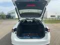 Skoda Superb Combi 1.5 TSI Selection Matrix Navi DAB Weiß - thumbnail 15