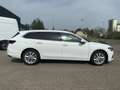 Skoda Superb Combi 1.5 TSI Selection Matrix Navi DAB Weiß - thumbnail 6