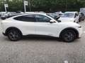 Ford Mustang Mach-E Elektro Extended Range Bianco - thumbnail 7