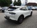 Ford Mustang Mach-E Elektro Extended Range Bianco - thumbnail 6