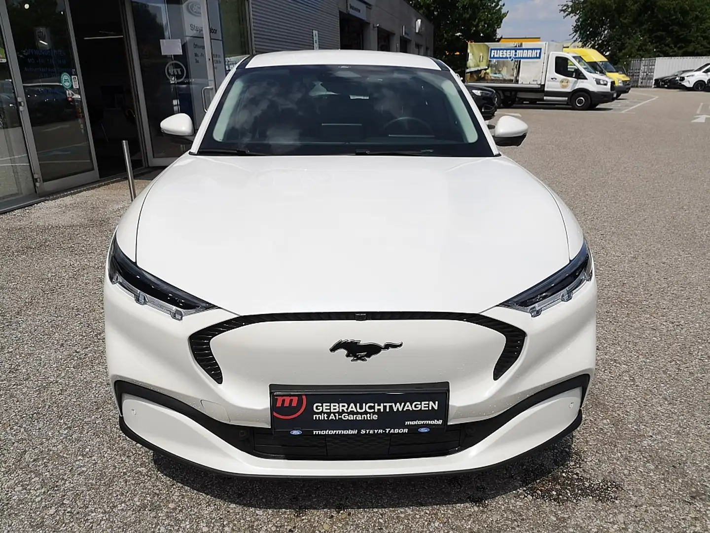 Ford Mustang Mach-E Elektro Extended Range Bianco - 2