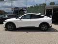 Ford Mustang Mach-E Elektro Extended Range Bianco - thumbnail 3