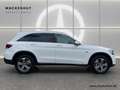 Mercedes-Benz GLC 300 e 4M EXCLUSIVE INT. BUSI+AHK+PANO+KAMERA Weiß - thumbnail 5