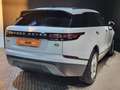Land Rover Range Rover Velar 2.0 D180 132kW 180CV S 4WD Auto Blanco - thumbnail 5