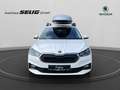 Skoda Fabia Fabia Drive 1,0 TSI 5-Gang Wit - thumbnail 2