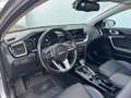 Kia Ceed SW / cee'd SW 1.6 GDI PHEV 141pk DCT6 ExecutiveLine | Schuif- Ka Grijs - thumbnail 10