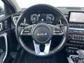 Kia Ceed SW / cee'd SW 1.6 GDI PHEV 141pk DCT6 ExecutiveLine | Schuif- Ka Grijs - thumbnail 18