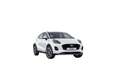 Ford Puma 1.0 EcoBoost 125cv Titanium MHEV Blanco - thumbnail 5