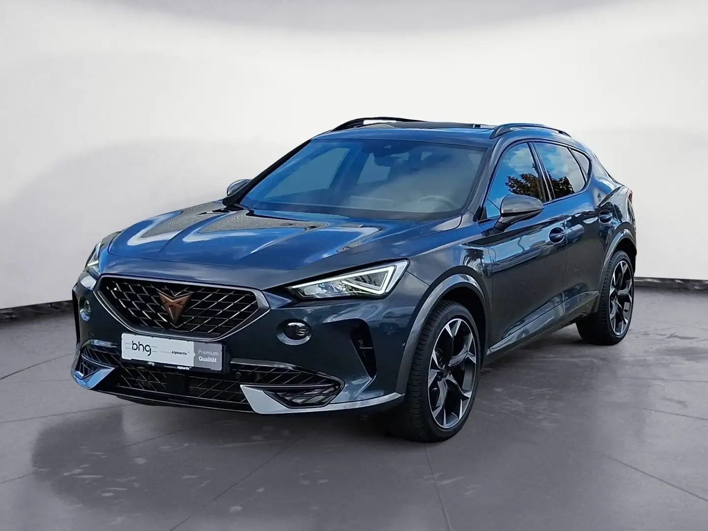 CUPRA Formentor VZ 2.0 TSI 4Drive DSG PanoDach ACCAssi Grau - 2