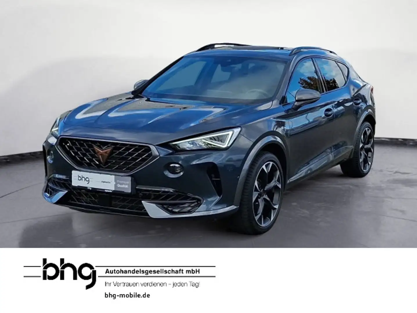 CUPRA Formentor VZ 2.0 TSI 4Drive DSG PanoDach ACCAssi Grau - 1