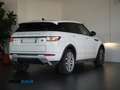 Land Rover Range Rover Evoque 2.0 td4 HSE 4X4 180cv auto Bianco - thumbnail 7