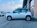 Fiat Panda Panda 0.9 t.air t. natural power Lounge 80cv E6 Argento - thumbnail 7