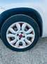 Fiat Panda Panda 0.9 t.air t. natural power Lounge 80cv E6 Argento - thumbnail 17