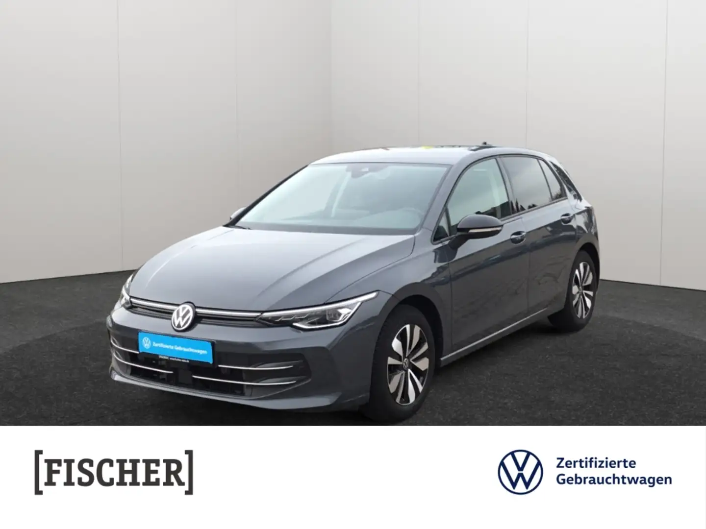 Volkswagen Golf VIII 2.0TDI DSG Goal LED AHK Navi Rear View ACC Grau - 1