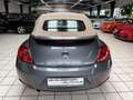 Volkswagen Beetle Cabriolet 70 s Design 1.2 TSI Leder Klima Grau - thumbnail 17