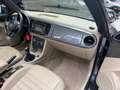Volkswagen Beetle Cabriolet 70 s Design 1.2 TSI Leder Klima Grau - thumbnail 11