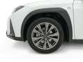 Lexus UX 250h F Sport 2WD Blanco - thumbnail 22