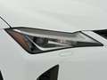 Lexus UX 250h F Sport 2WD Blanco - thumbnail 23